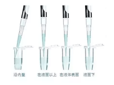 移液器操作六部曲,别再犯这些小错误!_液体_量程_影响