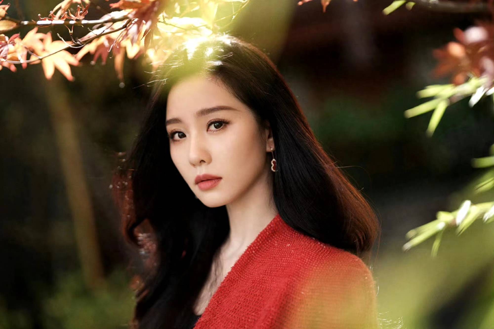 刘诗诗今天赢麻了!