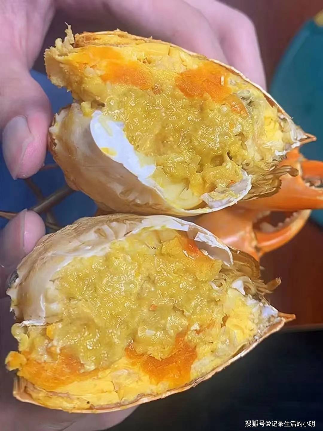 1000只才出一只的黄油蟹,半斤重就要2000块!你会买来吃吗?