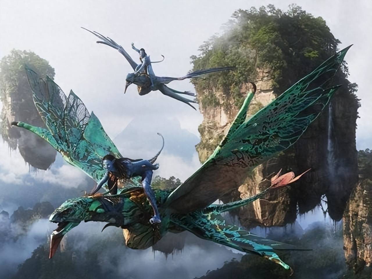 衣着,身体,姿态,电影《阿凡达》表现的美学,让全世界为之瞩目_人类