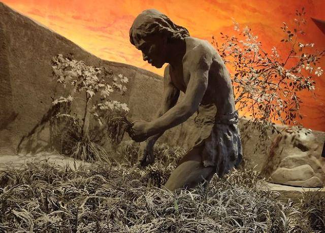 河姆渡遗址中出土"12吨粮食",有人却笑称:活得不如"原始人"_千年_考古