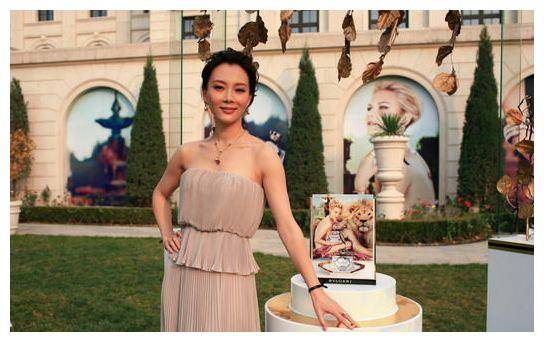 同样都是明星后妈,秦海璐与继子从不同框,她却为继子终身无子_陈数