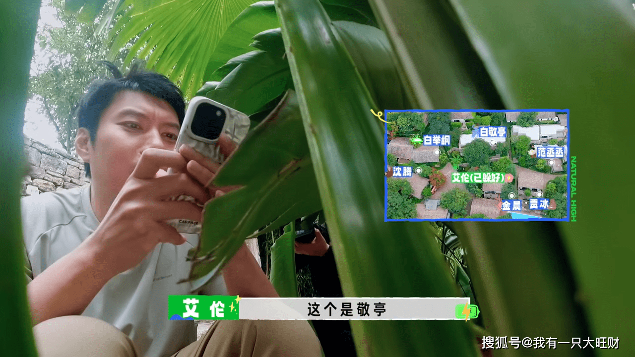 沈腾玩躲猫猫送人头,金晨的甜品竟然输给了荷包蛋_白敬亭_范丞丞_挑战