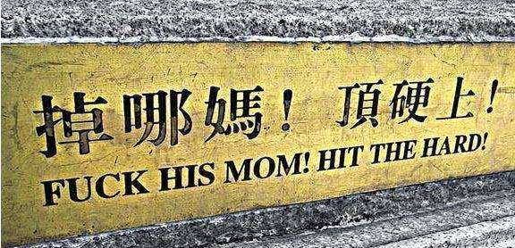 顶硬上!"什么意思?_皇帝_时候_后金