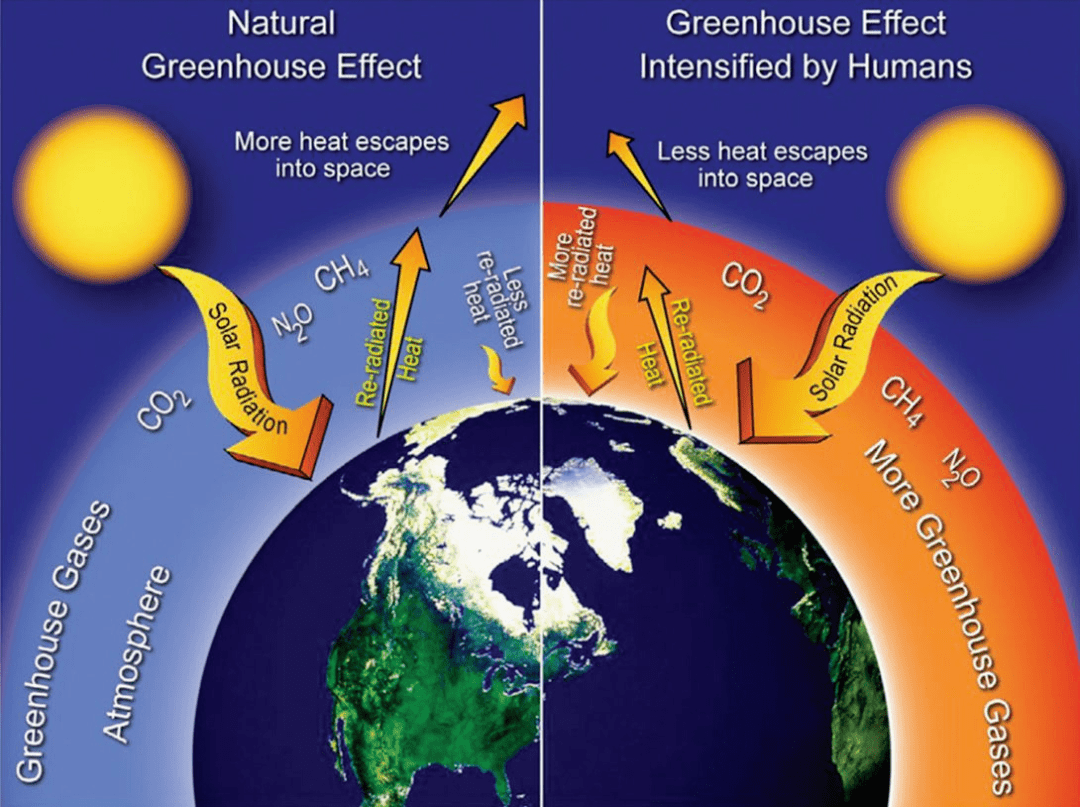 应对气候变化:人工智能的力量与风险