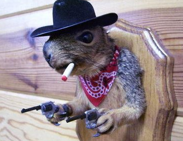 搞笑段子搞笑图片:我以为多大事儿呢,一次六分,我包个月_考验_手机_老