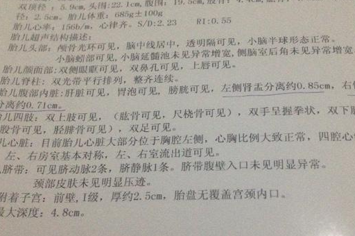 产检时,b超单上3个"数值",或许暗藏宝宝"性别"的小秘密哦!