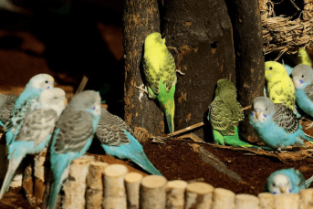 成都"室内迪士尼"开园迎客,提前锁定假期遛娃网红地_土拨鼠_小朋友