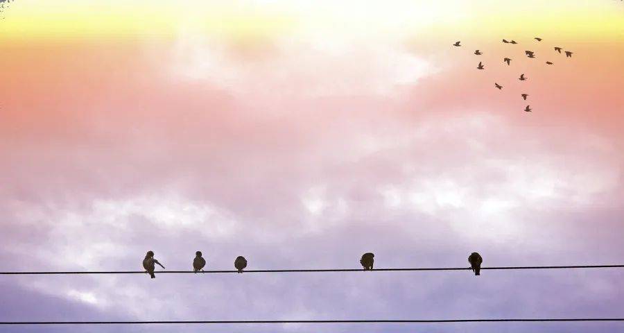 买家电抽奖送旅游重返商业主场-家电圈官网