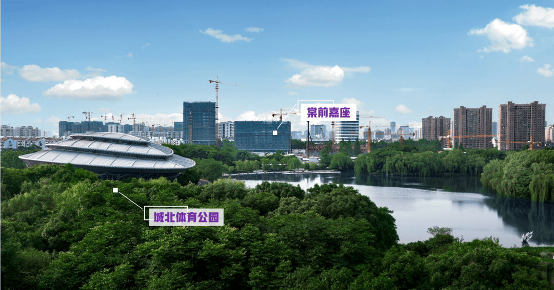草坪价格一平米多少钱
