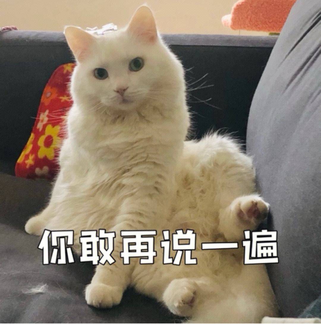 搞笑推荐:老公感冒了,有事没事的往我身上蹭,有种不把我传染上不罢休