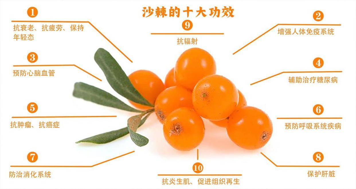 然而,无论你的需求是什么,我们都不能忽视沙棘原浆的营养价值和功效.