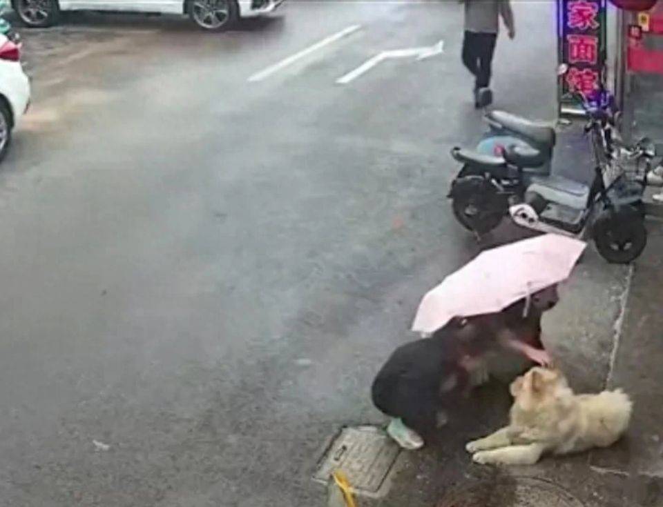 江苏盐城女子路边被宠物狗撕咬,脸部撕裂翻滚在地,双腿颤抖捂脸哀嚎