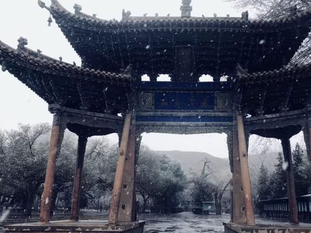 莫高窟真正的“守护者”,萌犬乐乐翻身成“网红” 莫高窟真正的“守护者”,萌犬乐乐翻身成“网红”