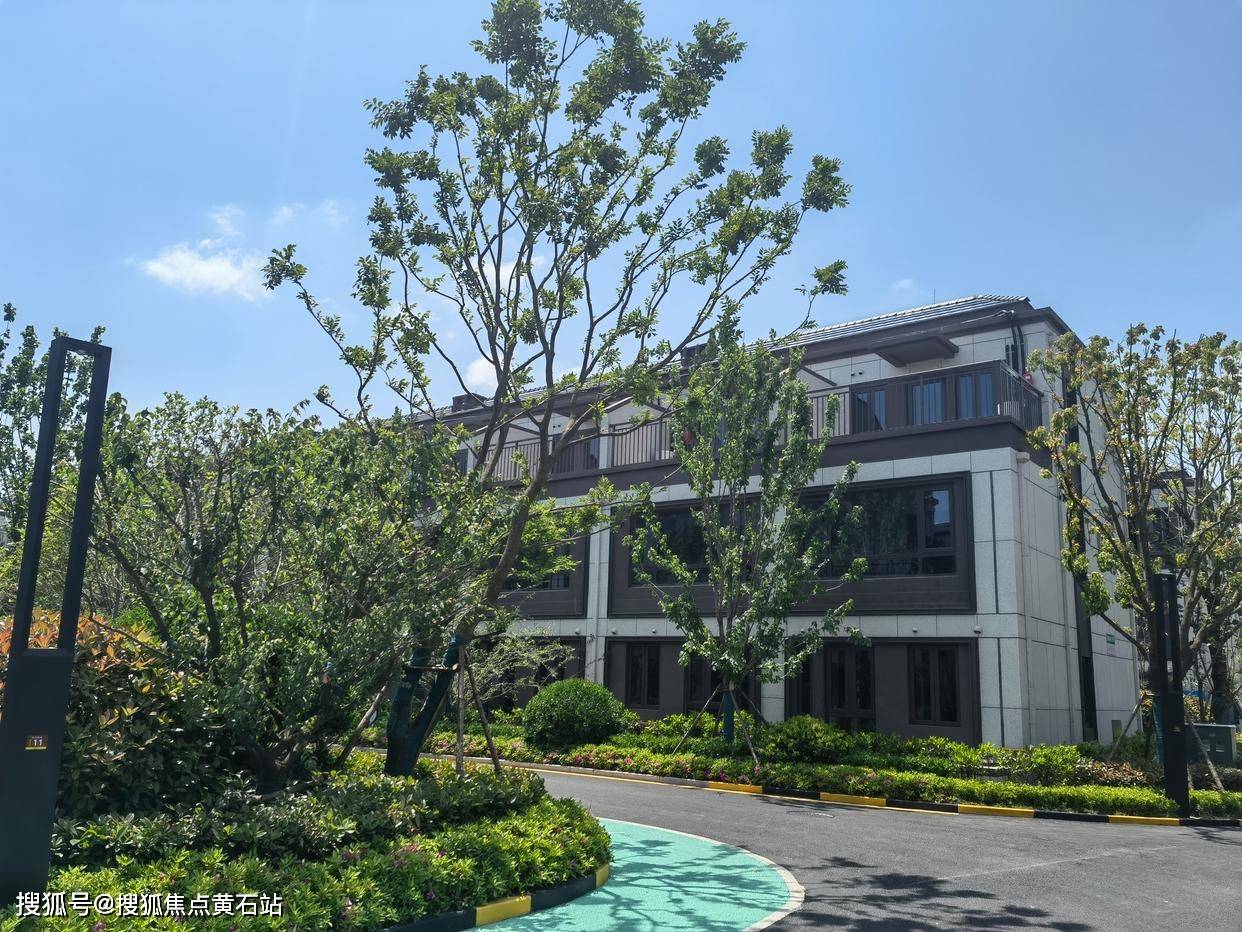 上海市实验学校附属东滩学校学区如何划分的?哪些小区是上实的学区房?_院子_海路_别墅