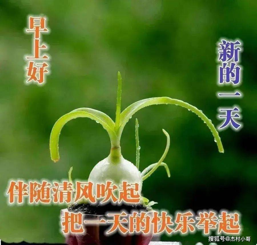 原创            8张最美秋天风景早安图片带字带祝福语