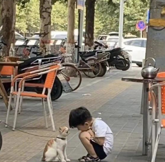 家中小猫送人后孩子第二天没回家,父亲出门看到一幕感动落泪 家中小猫送人后孩子第二天没回家,父亲出门看到一幕感动落泪