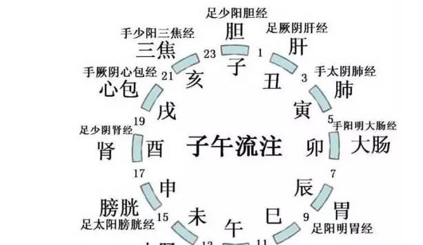 奇妙的时间的节律,给我们的生活具有哪些提示和指导_治疗_人体_疾病