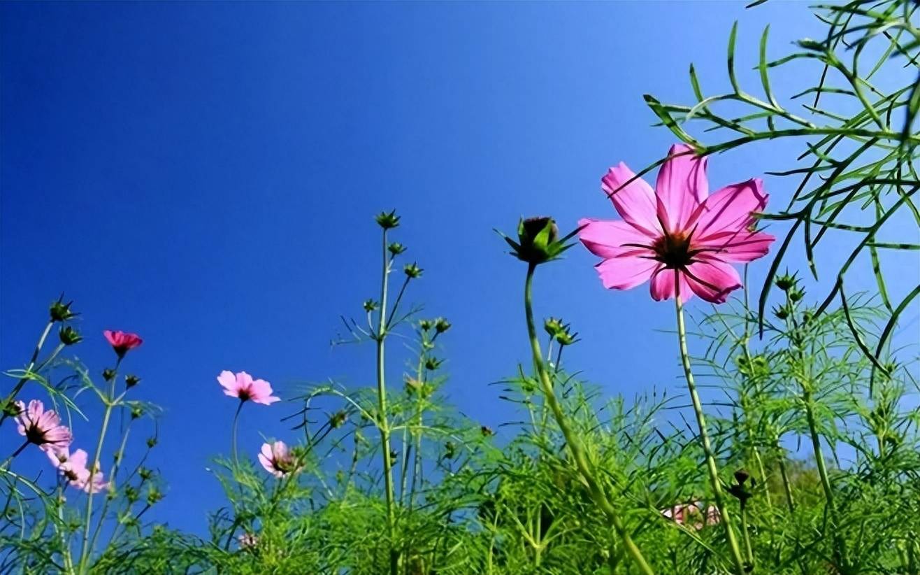 点击上方蓝字关注,晴风每天和你一起剖析情感知识.