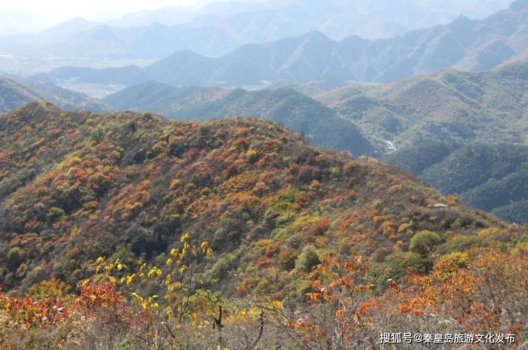 来老君顶,还有各色瓜果可以采摘哦~景区地址:海港区房庄村咨询电话