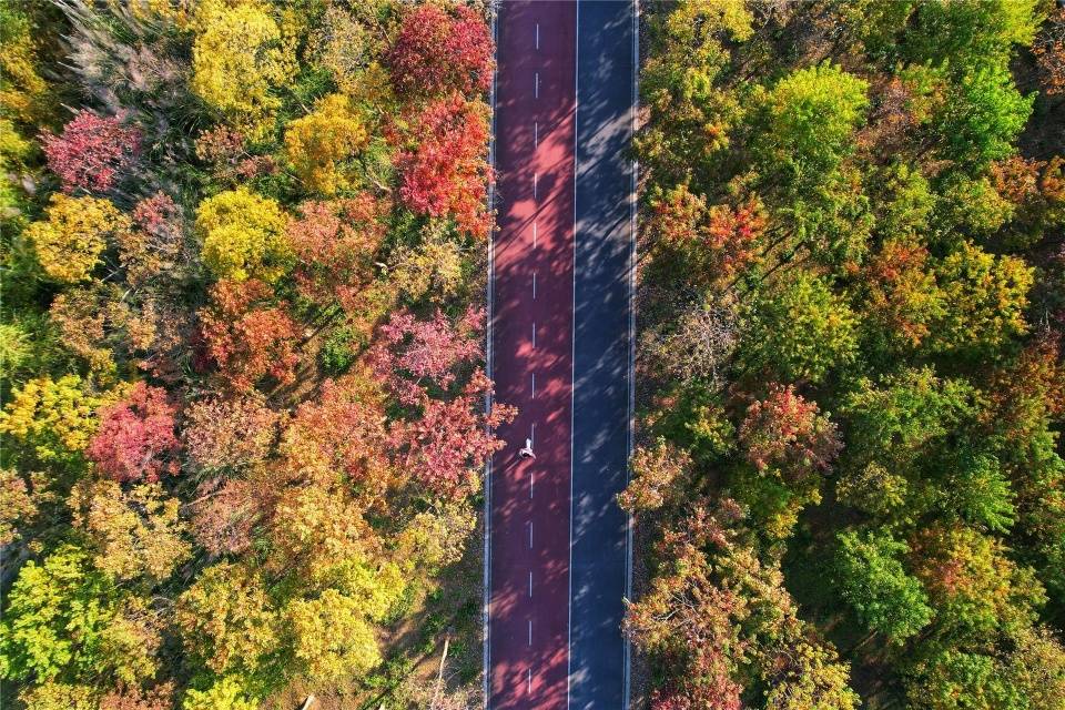区白沙溪水利风景区妩媚的秋色在婺城如水墨画般一点一滴铺陈晕染开来