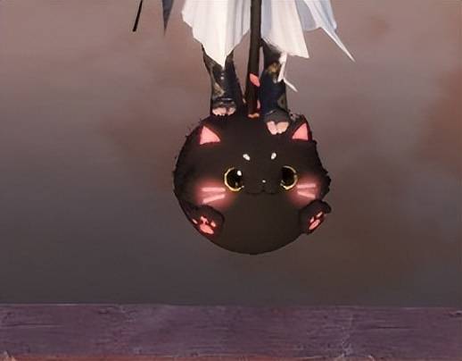 让咱看看,小鸡,猫咪,奶牛,仓鼠,绵羊……还有只飞耳粉色小猪!