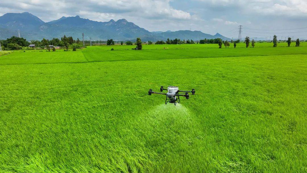 dji t50 | 稳,不止一点_作业_农业_系统