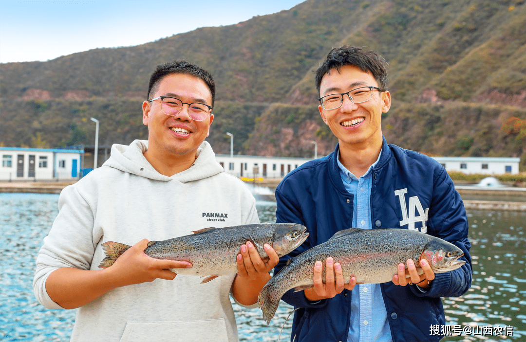 "三文鱼"为何在山西"安了家"?_养殖_企业_沁水县