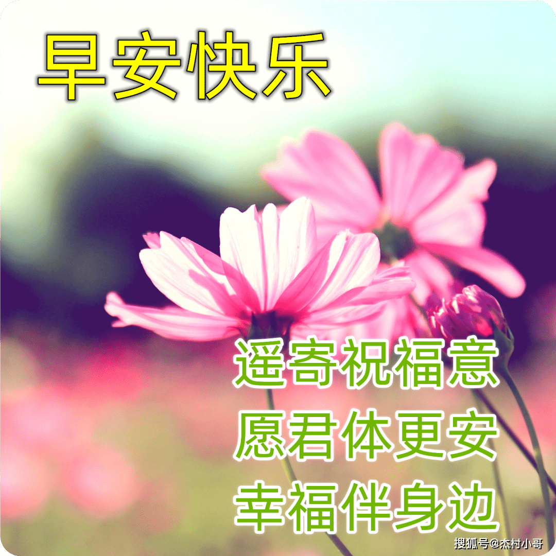 原创            周一问候大家早上好的早安祝福语图片，最新早晨好问候祝福语