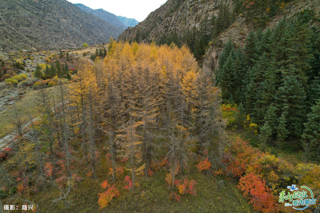 青山绿水看内蒙古——北疆脊梁_贺兰山_大兴安岭_阴山