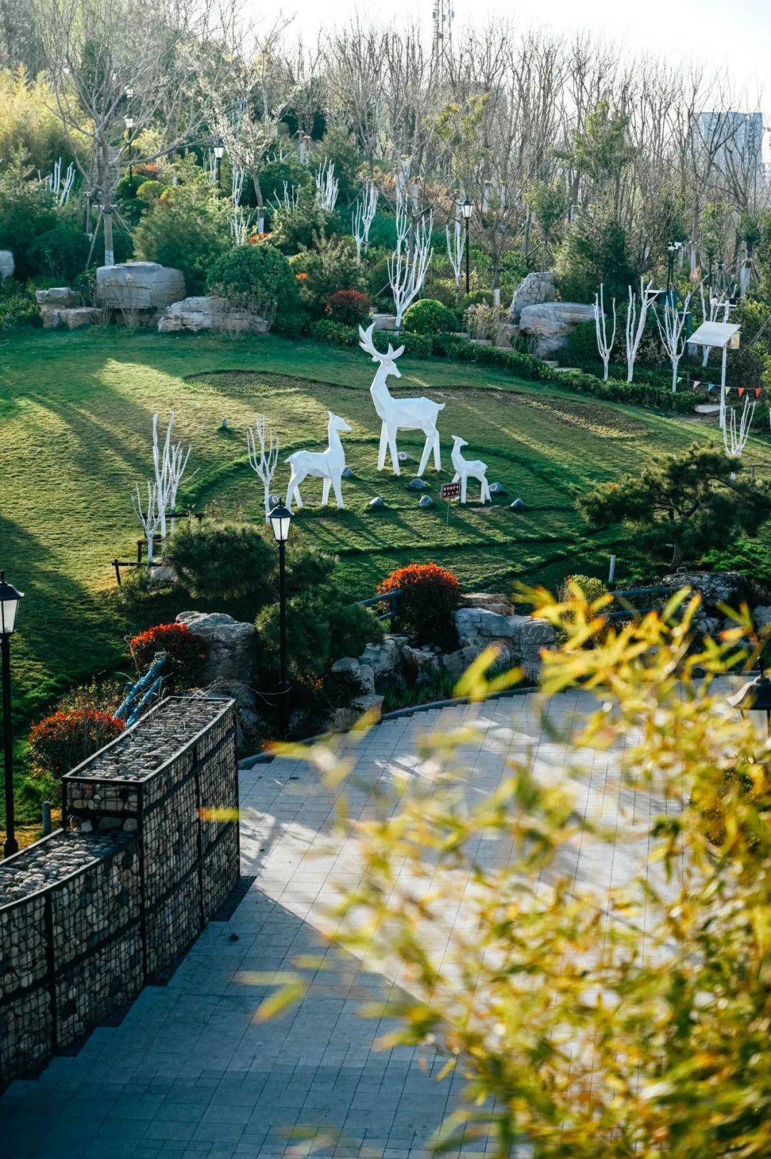 爬完这些山,才算对得起济南的秋天!_摄影_公园_茂山