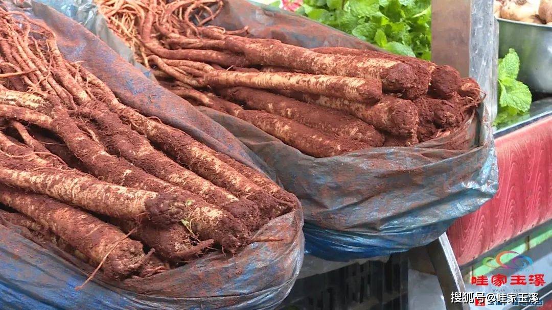 "土黄天"药膳食材俏销 进补有度切勿过量_天麻_玉溪_臭参