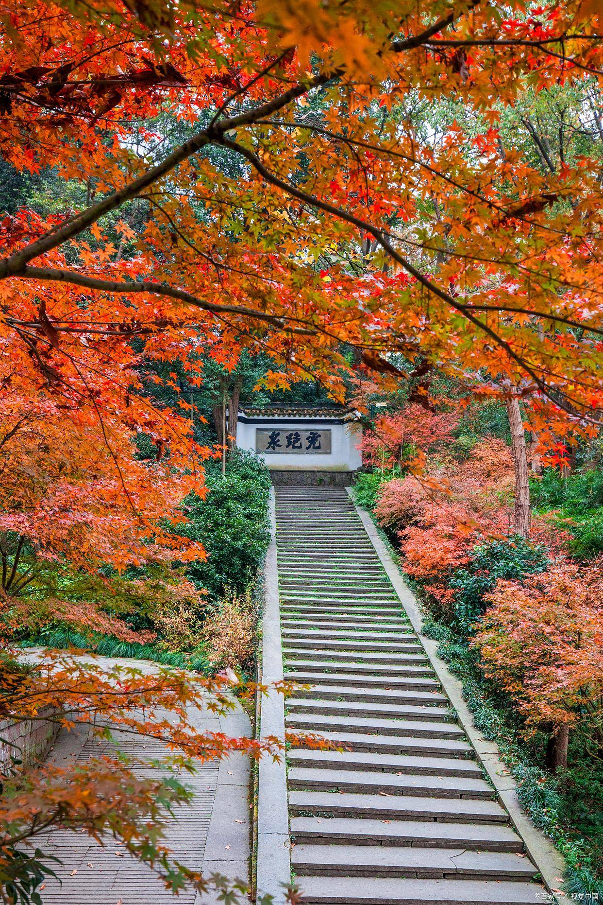 天平山景色图片