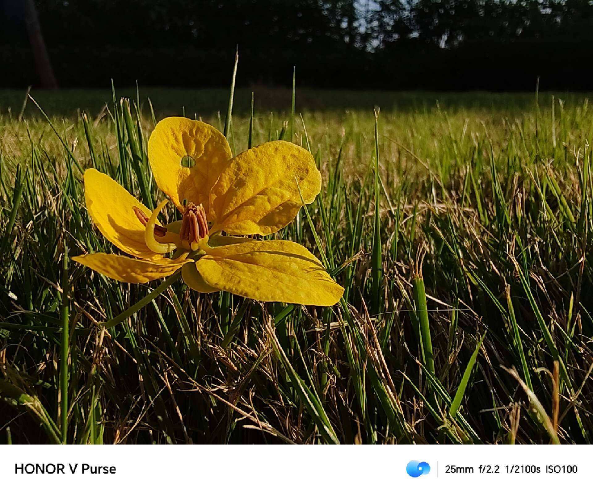 超越直板机的轻薄手感,装上配件变身斜挎包!