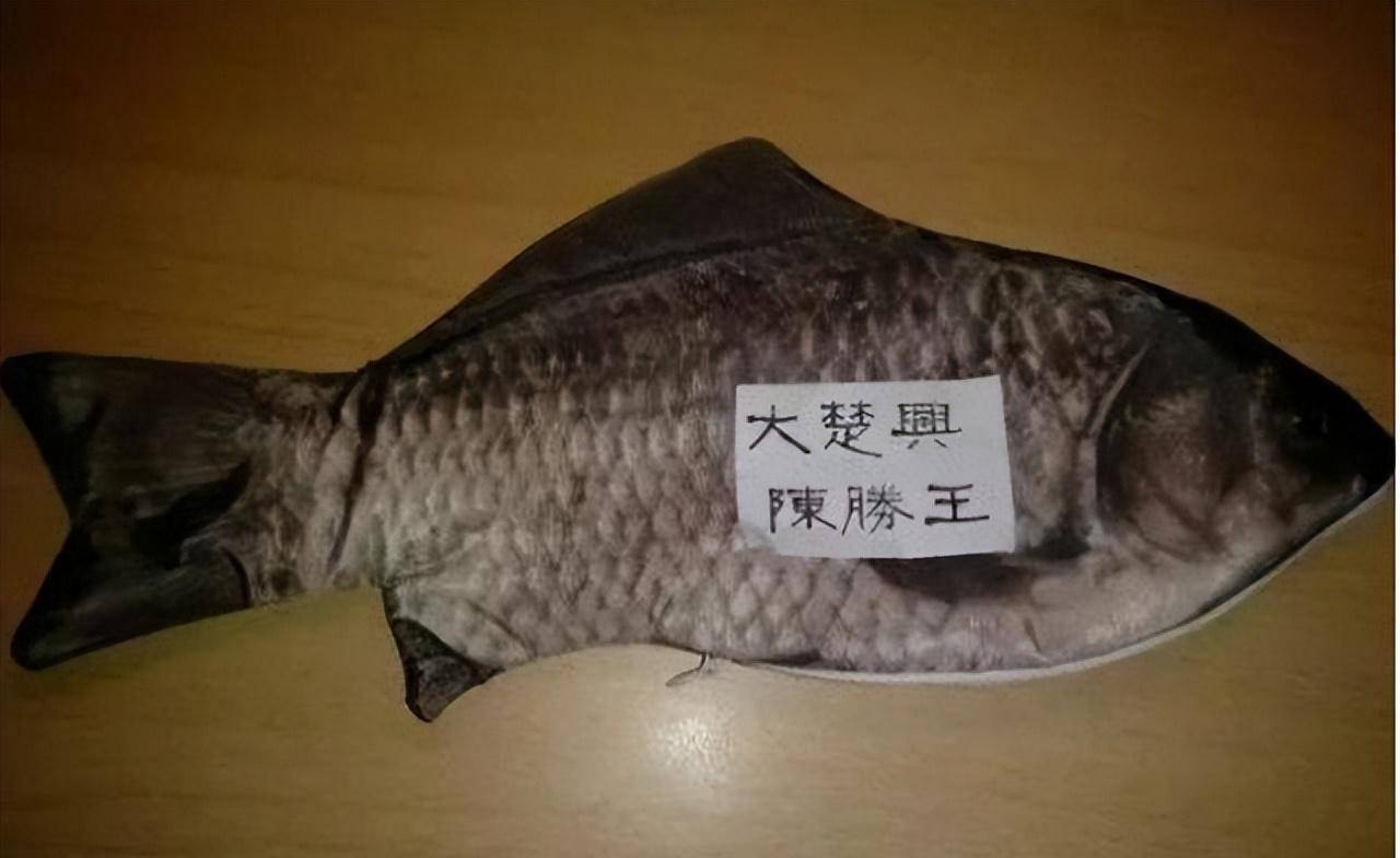 陈胜吴广便想了其他的办法,比如他们将纸条放进鱼的肚子里让人吃到