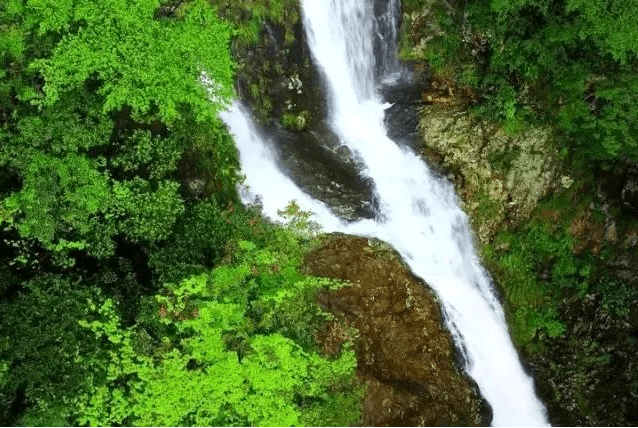 九凤山金龙寺等,众多风景名胜,移步异景,令人目不暇接习水国家森林