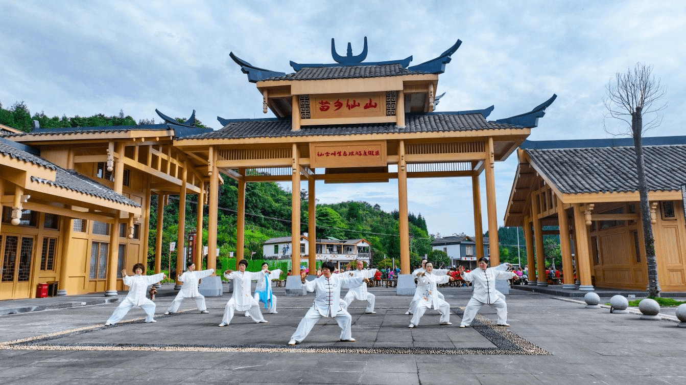 宜宾兴文:发展中苗医药 助力民族地区发展_全报_四川省_兴文县