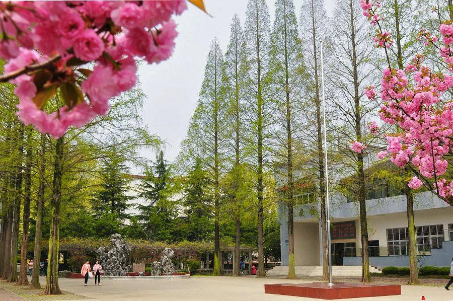 网友:或预示着全面发展的历史性时刻_安徽省_林业_技术