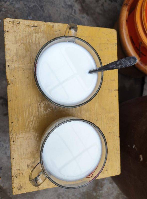 谁说都不听,老妈6000块钱买的冠羚羊初乳_中老年_养生_活动