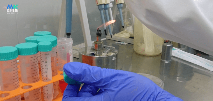 transwell细胞迁移的实验操作全过程具体演示_培养液_培养基_小室