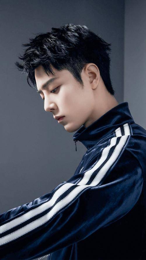 宝狮龙官宣代言,肖战无考察期空降_品牌_支持_环节