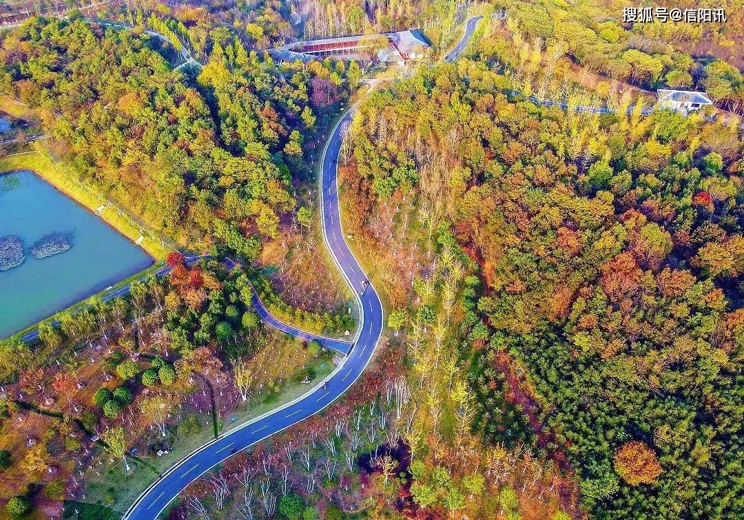 快来看看信阳市中心城区开放共享公园绿地吧!_地址_休闲_运动