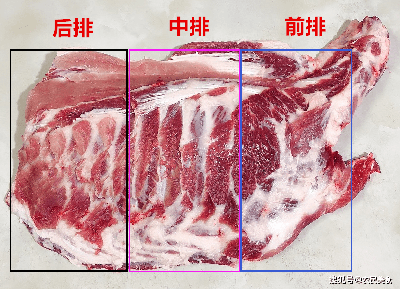 如何挑选排骨，要分清“前排”和“后排”，哪的脆骨多？哪肉多？差别大 