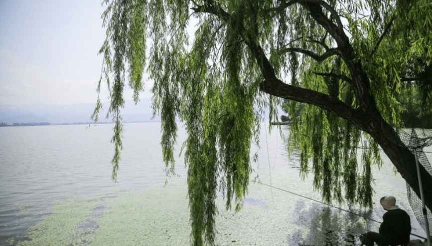 德昌县海花沟图片