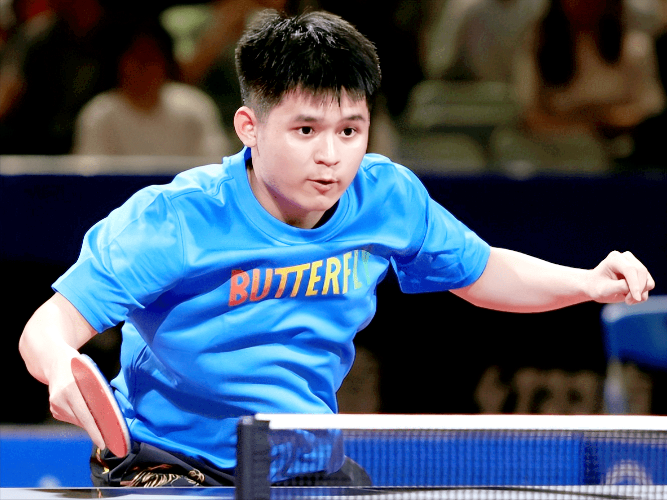 乒乓球"老瓦杯"又被推迟,马龙,石川佳纯等人相约明年_林诗栋_技术_全