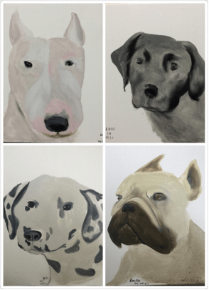 作者:李慧作品名称:《萌宠》作品尺寸:30cm*30cm*4画种:油画邢梁,安阳