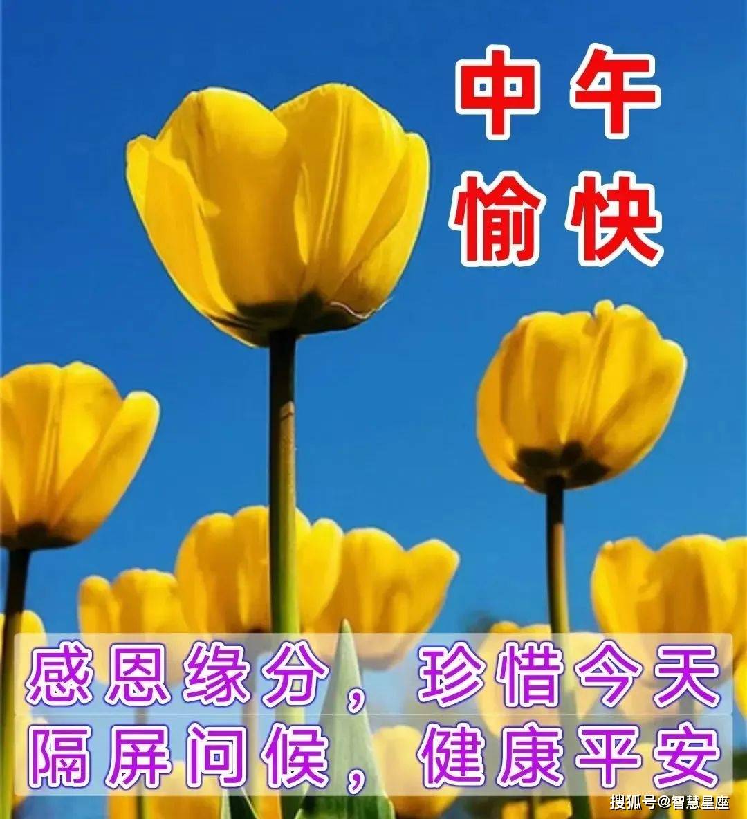 早上好节日快乐图片图片