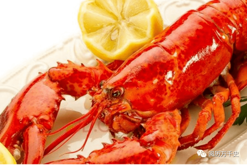 西雅图简介_西雅图旅游指南_西雅图城市介绍