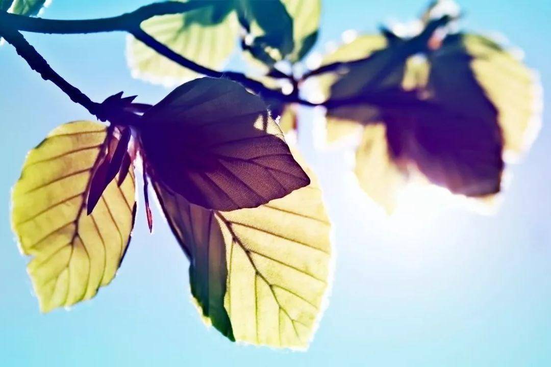 当一个人不联系你时,千万不要做这3件事_对方_感情_尊严