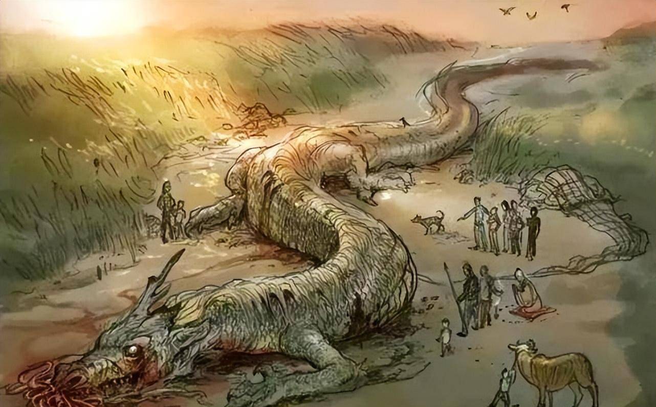 从古至今几个坠龙事件,一个还被相机拍到了_营口_身体_生物